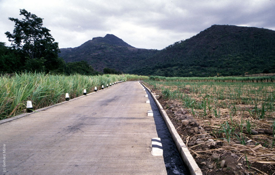 Mauritius_128