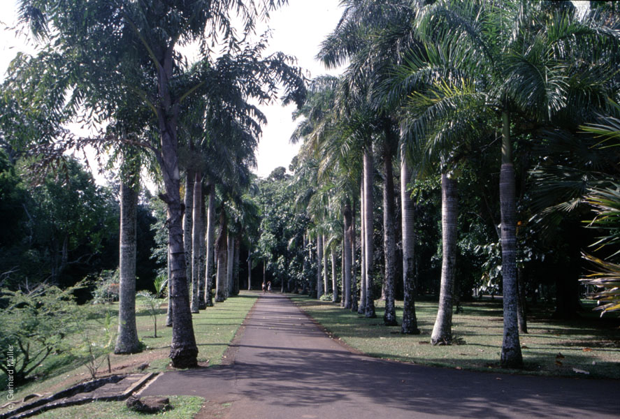 Mauritius_154