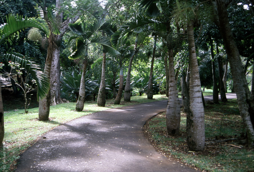 Mauritius_155