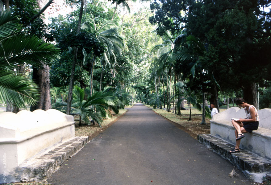 Mauritius_158