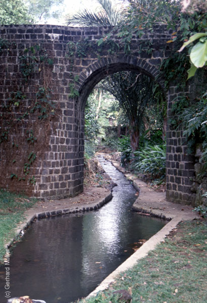 Mauritius_161