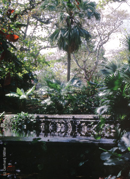 Mauritius_162