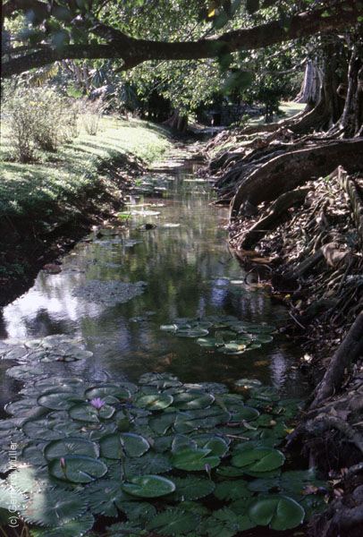 Mauritius_188