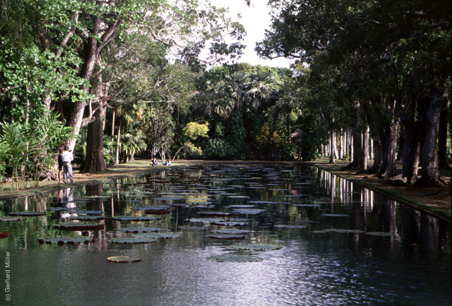 Mauritius_192