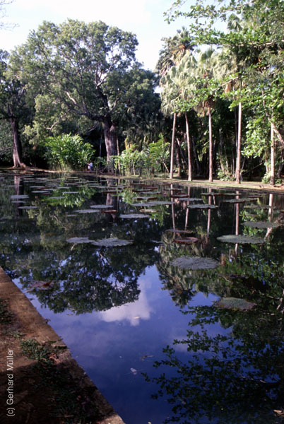 Mauritius_193
