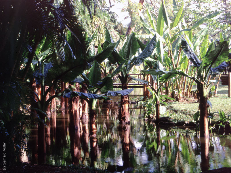 Mauritius_195