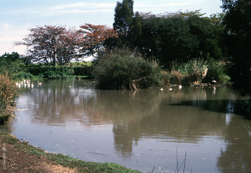 Mauritius_252