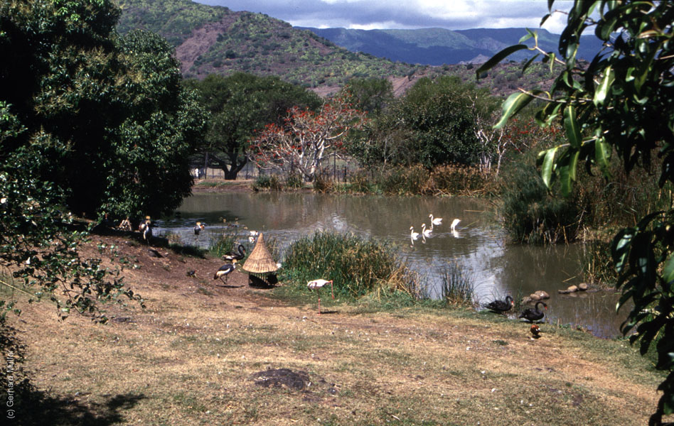 Mauritius_253