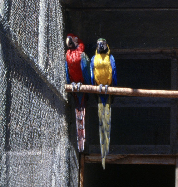 Mauritius_275