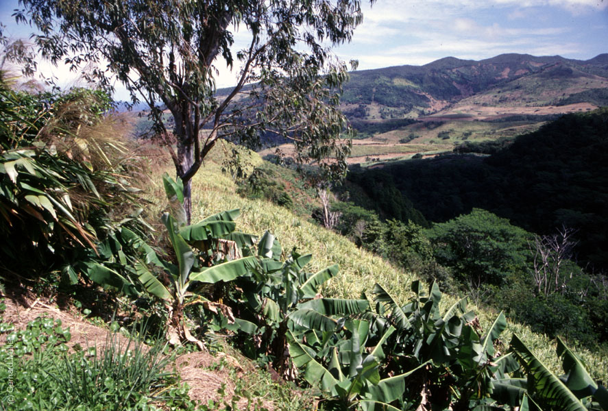 Mauritius_302