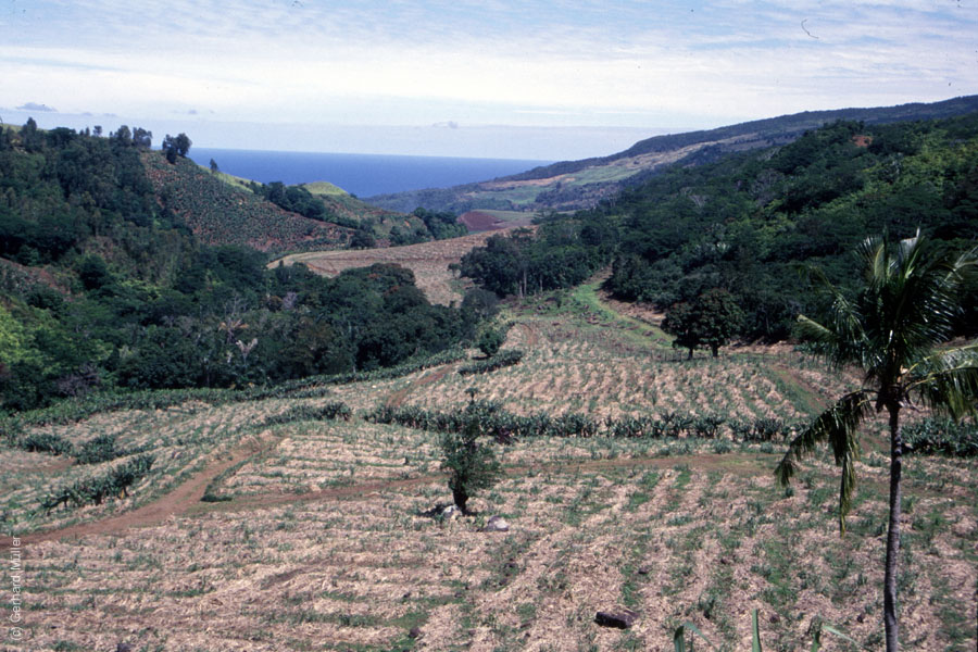 Mauritius_303