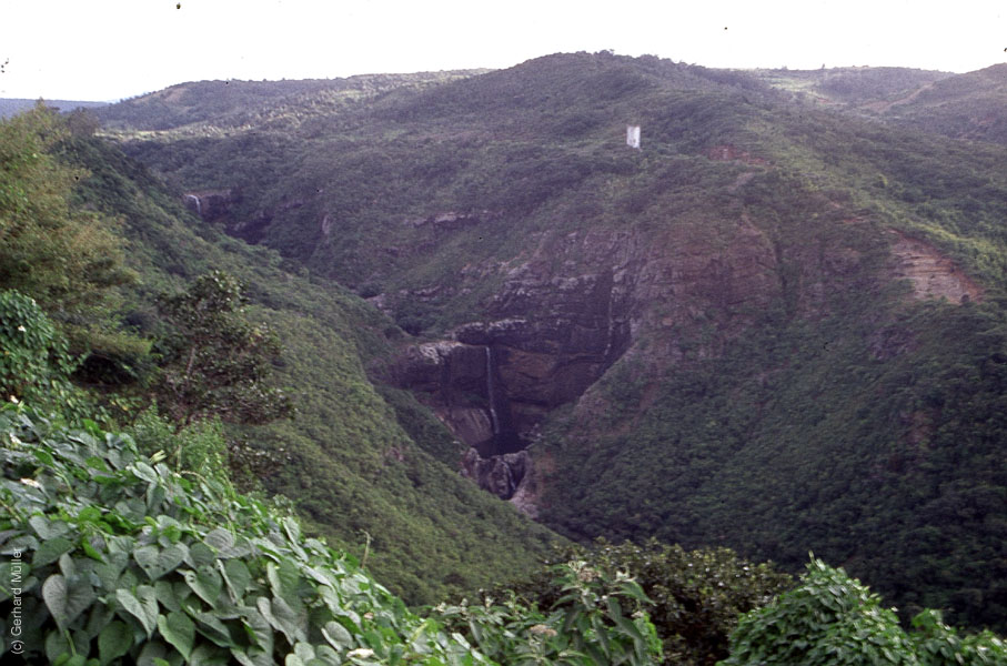 Mauritius_309