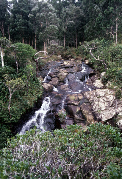 Mauritius_318
