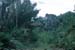 Mauritius_105
