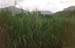 Mauritius_124