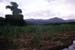 Mauritius_126