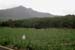 Mauritius_127