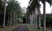 Mauritius_153