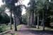 Mauritius_154