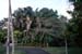 Mauritius_166