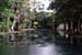 Mauritius_192