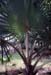 Mauritius_197