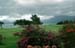 Mauritius_322