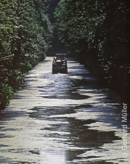 Polen1991_112.pg