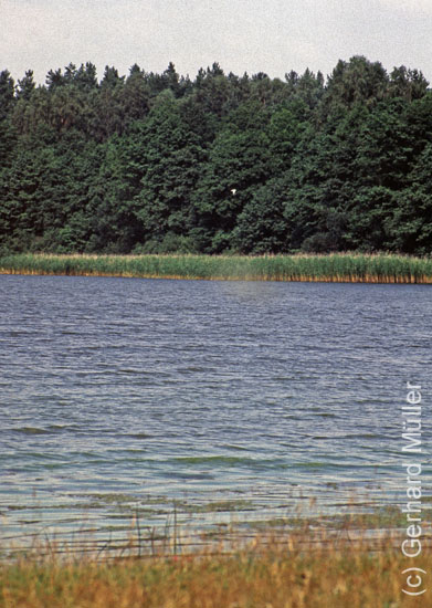 Polen1991_115