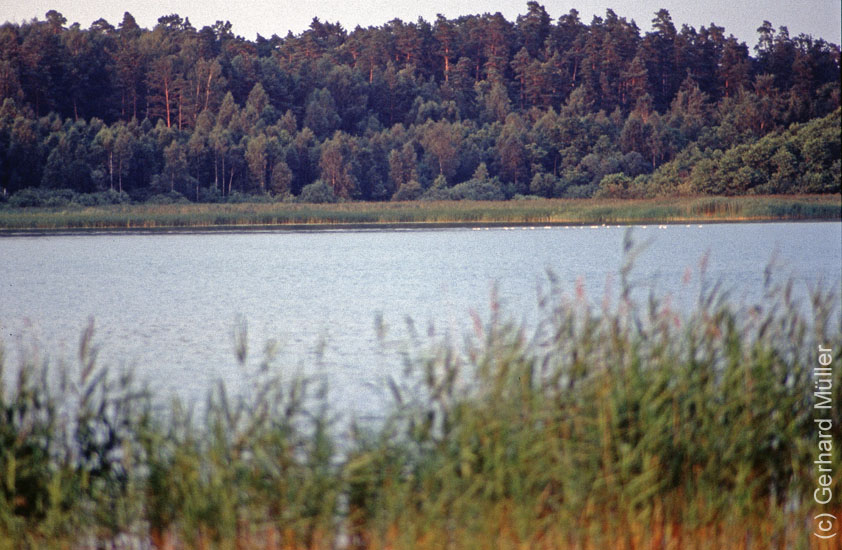 Polen1991_116
