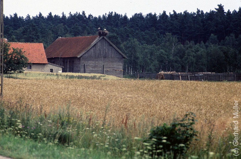 Polen1991_119
