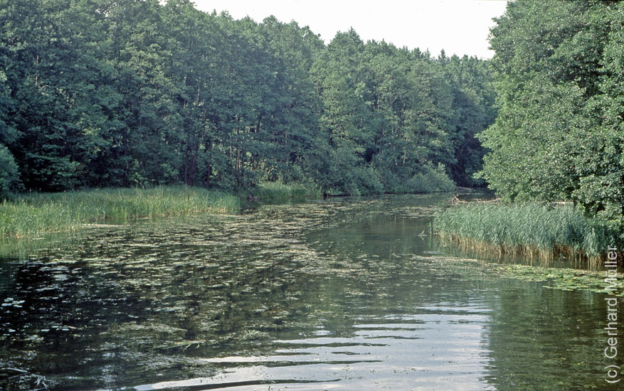 Polen1991_120