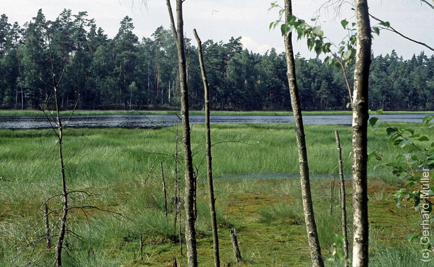 Polen1991_122