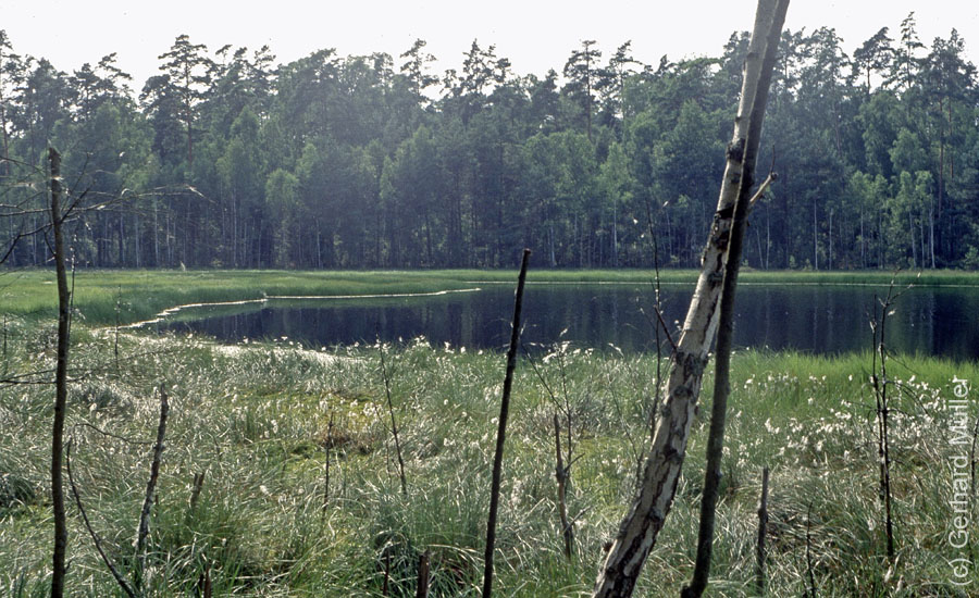 Polen1991_123