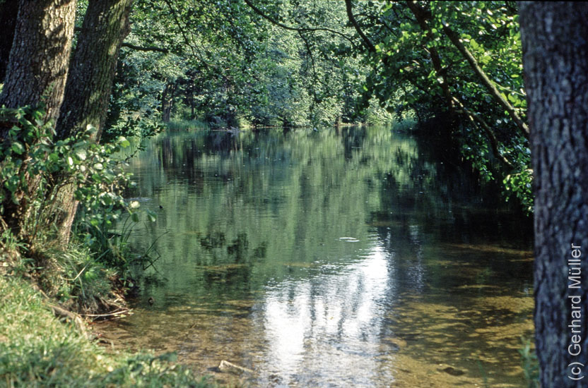 Polen1991_124