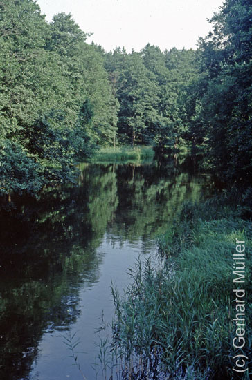 Polen1991_125