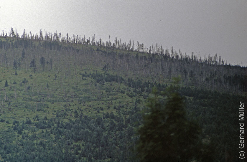 Polen1991_150