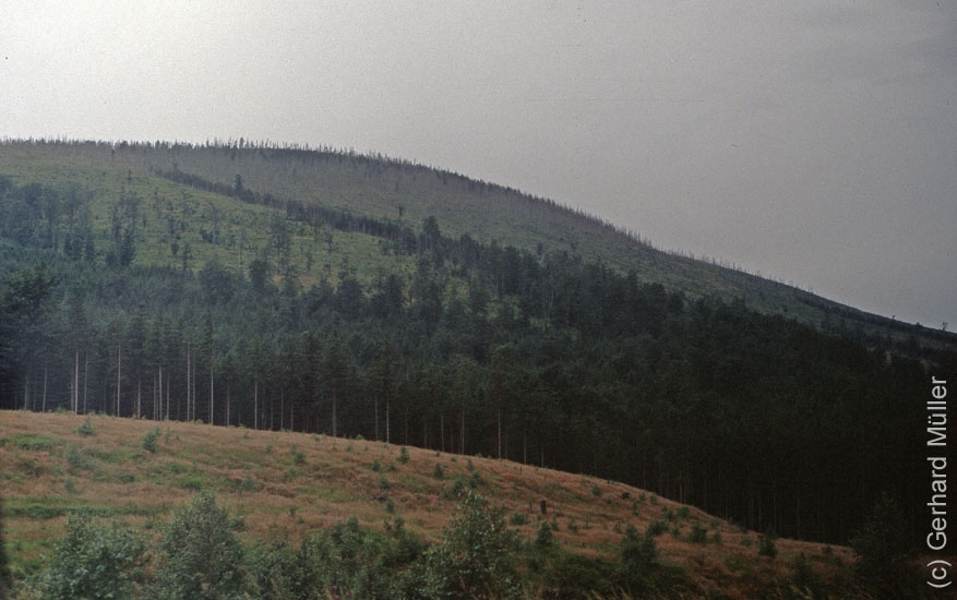 Polen1991_151