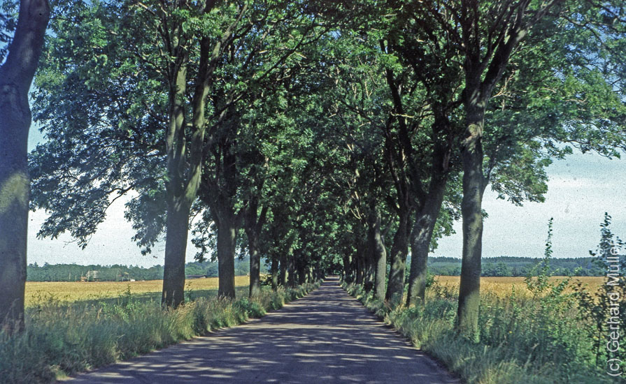 Polen1991a_081