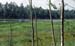 Polen1991_122