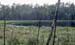 Polen1991_123