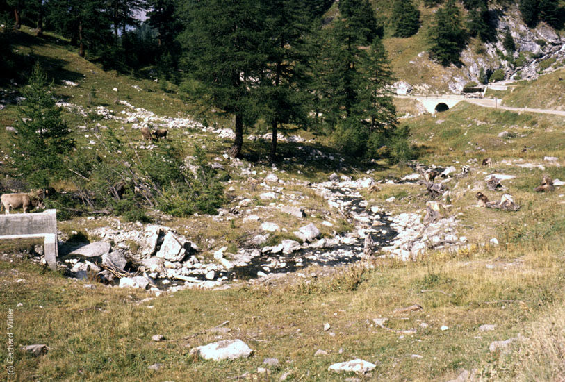 Alpen-1980_009