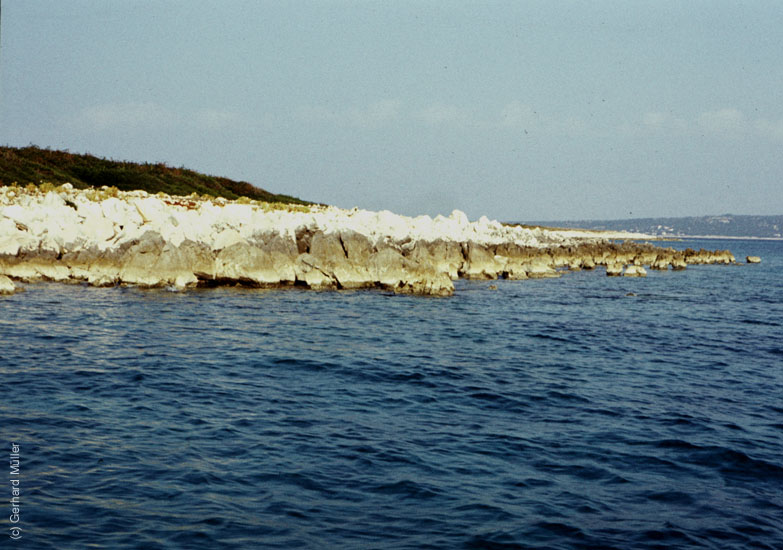 Rab-1980_059a