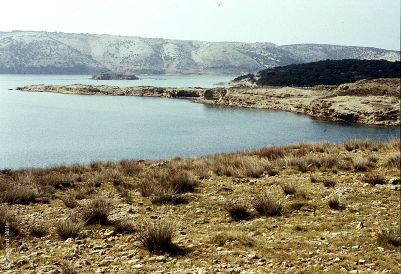 Rab-1980_065