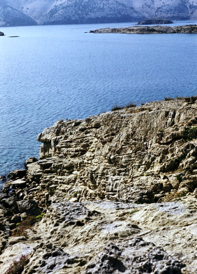 Rab-1980_069