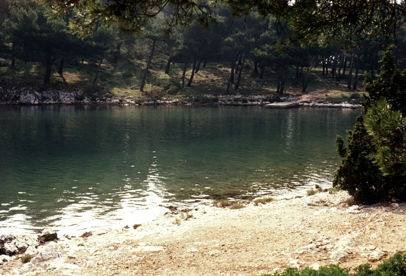 Rab-1980_084