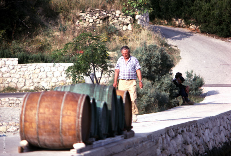 Rab-1980_231