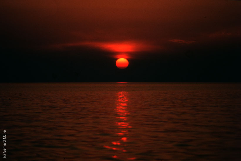 Rab-1980_250