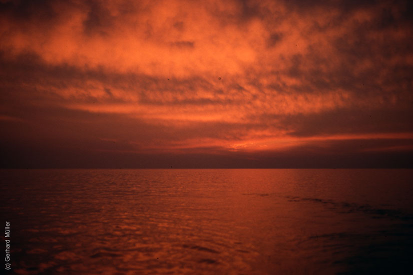 Rab-1980_253