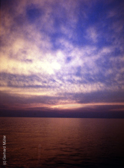 Rab-1980_254